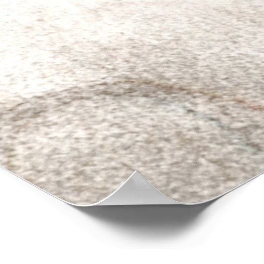 ヴィンテージ1800sスケルトンアンティーク解剖学的骨格 ポスター (角)