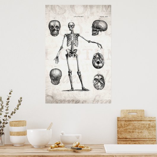 ヴィンテージ1800sスケルトンアンティーク解剖学的骨格 ポスター (キッチン)