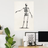 ヴィンテージ1800sスケルトンアンティーク解剖学的骨格 ポスター (ホームオフィス)