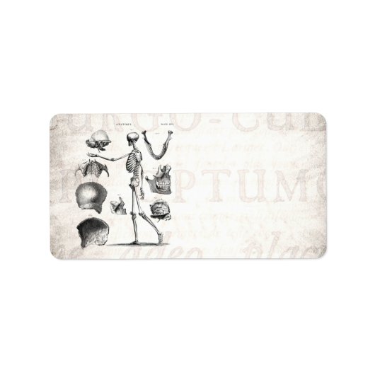 ヴィンテージ1800sスケルトンアンティーク解剖学的骨格 ラベル (正面)