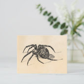 ヴィンテージ1800sスパイダーイラストレーションスパイダーズテンプレート ポストカード (スタンド正面)