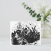 ヴィンテージ1800sスパイダーウェブイラストレーション – スパイダーズ ポストカード (スタンド正面)