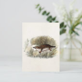 ヴィンテージ1800sダックビルプラットパイプスイラストレーション ポストカード (スタンド正面)