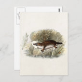 ヴィンテージ1800sダックビルプラットパイプスイラストレーション ポストカード (正面/裏面)