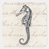 ヴィンテージ1800sハワイアンシーホースイラストレーション スクエアシール (正面)