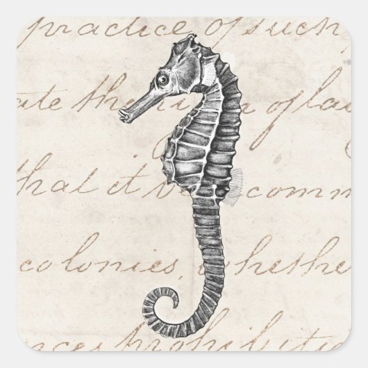 ヴィンテージ1800sハワイアンシーホースイラストレーション スクエアシール (正面)