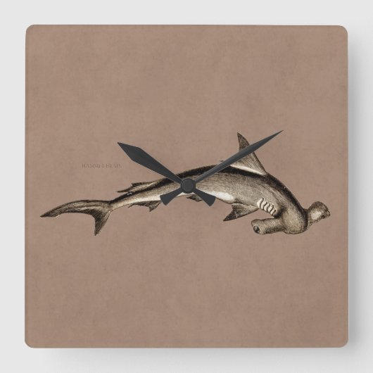 ヴィンテージ1800sハンマーヘッドシャーク古いハンマーヘッド スクエア壁時計 (正面)