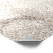 ヴィンテージ1800sハンマーヘッドシャーク古いハンマーヘッド ポスター (角)