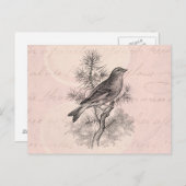 ヴィンテージ1800sバラリネソングバードフィンチバード ポストカード (正面/裏面)