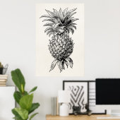 ヴィンテージ1800sパイナップルイラストレーションパイナップル ポスター (ホームオフィス)