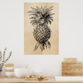 ヴィンテージ1800sパイナップルイラストレーションパイナップル ポスター (キッチン)