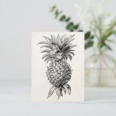 ヴィンテージ1800sパイナップルイラストレーションパイナップル ポストカード (スタンド正面)