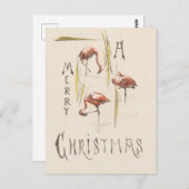 ヴィンテージ1800sフロリダフラミンゴスレトロな休日 ポストカード (正面/裏面)