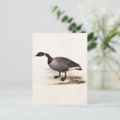 ヴィンテージ1800sブレントガチョウ – レトロゲーゼテンプレート ポストカード (スタンド正面)