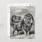 ヴィンテージ1800sライオンライオネス大きな猫イラストレーション ポストカード (正面/裏面)