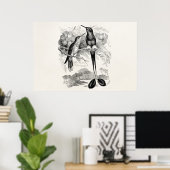 ヴィンテージ1800sラケットテールハミングバードラケットテール ポスター (ホームオフィス)