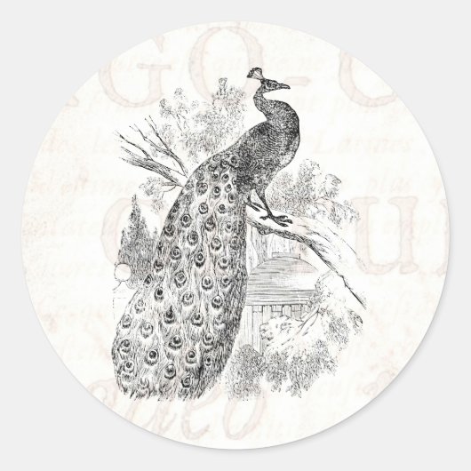ヴィンテージ1800sレトロ孔雀イラストレーションテンプレート ラウンドシール (正面)