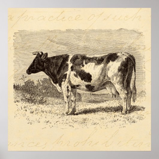 ヴィンテージ1800s大オランダ牛レトロ牛イエロー ポスター (正面)