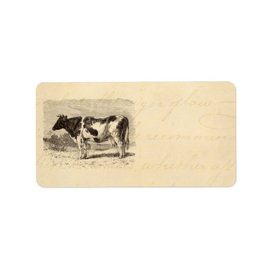 ヴィンテージ1800s大オランダ牛レトロ牛イエロー ラベル (正面)