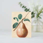 ヴィンテージ1800s梨フルーツブランチ葉付き – 梨 ポストカード (スタンド正面)