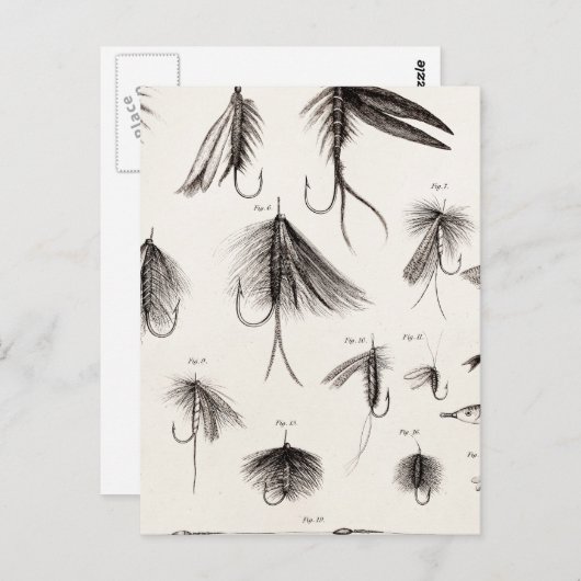 ヴィンテージ1800s釣りフライ古いフック ポストカード (正面/裏面)