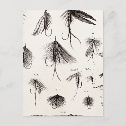 ヴィンテージ1800s釣りフライ古いフック ポストカード (正面)