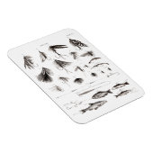 ヴィンテージ1800s釣りフライ釣りルアーフック マグネット (右側)