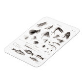 ヴィンテージ1800s釣りフライ釣りルアーフック マグネット (左側)