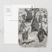 ヴィンテージ1800s飛んでいるキツネこうもりレトロテンプレートこうもり ポストカード (正面/裏面)