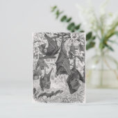 ヴィンテージ1800s飛んでいるキツネこうもりレトロテンプレートこうもり ポストカード (スタンド正面)