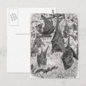 ヴィンテージ1800s飛んでいるキツネこうもりレトロテンプレートこうもり ポストカード (正面/裏面)