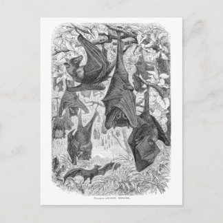 ヴィンテージ1800s飛んでいるキツネこうもりレトロテンプレートこうもり ポストカード