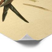 ヴィンテージ1830ハミングバードプリントグリーンブルー ポスター (角)