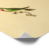 ヴィンテージ1830ハミングバードプリントルビー喉 ポスター (角)