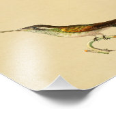 ヴィンテージ1830ハミングバードプリントレッドグリーン フォトプリント            (角)