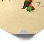 ヴィンテージ1830ハミングバードプリントレッドグリーン ポスター (角)