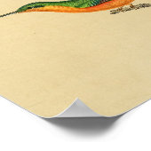 ヴィンテージ1830ハミングバードプリントレッドグリーン ポスター (角)