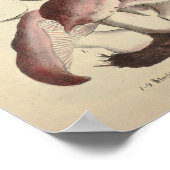 ヴィンテージ1831キノコ品種イエローブラウンプリント ポスター (角)