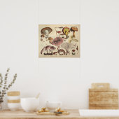 ヴィンテージ1831キノコ品種イエローブラウンプリント ポスター (キッチン)