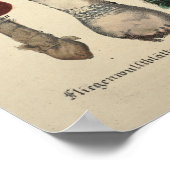 ヴィンテージ1831キノコ品種オレンジパープルプリント ポスター (角)