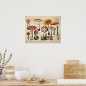 ヴィンテージ1831キノコ品種オレンジパープルプリント ポスター (キッチン)