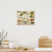 ヴィンテージ1831キノコ品種グリーンイエロープリント ポスター (キッチン)