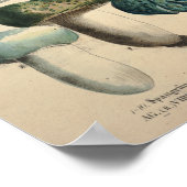 ヴィンテージ1831キノコ品種グリーンブループリント ポスター (角)