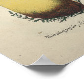 ヴィンテージ1831キノコ品種ピンクイエロープリント ポスター (角)