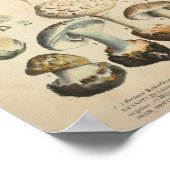 ヴィンテージ1831キノコ品種ホワイトブラウンプリント ポスター (角)