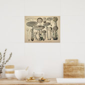 ヴィンテージ1831キノコ品種ホワイトブラウンプリント ポスター (キッチン)