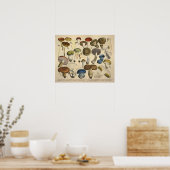 ヴィンテージ1831キノコ品種レッドブループリント ポスター (キッチン)