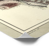 ヴィンテージ1831スカル脊椎解剖学プリント ポスター (角)