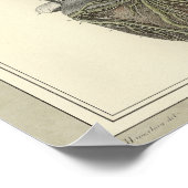 ヴィンテージ1831ハート解剖学プリント ポスター (角)