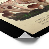 ヴィンテージ1831マッシュルーム品種オレンジブラウンプリント ポスター (角)